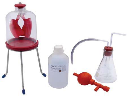 Kit for Experiments with Breathing