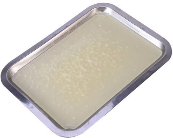 Dissection Pan.