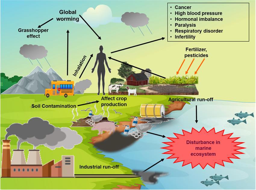 Destruction of the Ecosystem