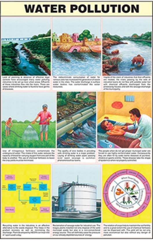 Water Circulation and its Pollution