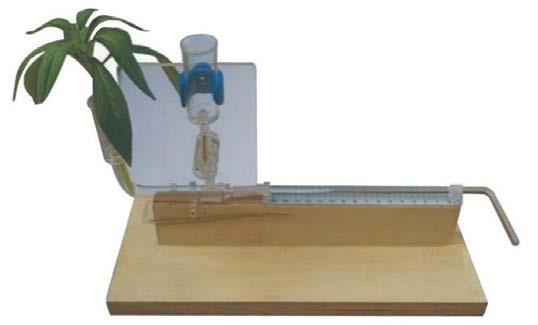 Kit for Demonstration of Transpiration in Plants.