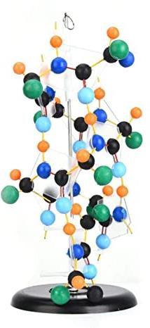 Protein Model.