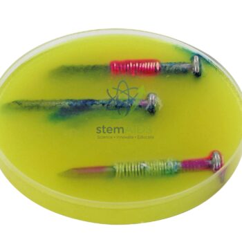 Iron Protection and Corrosion Kit - Physics Equipments | STEMAids