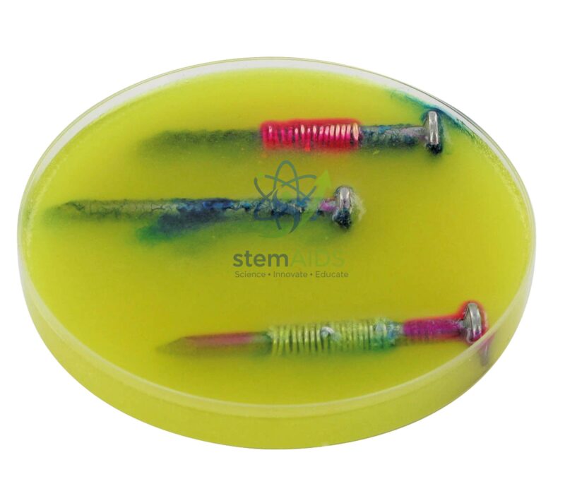 Iron Protection and Corrosion Kit 1 Iron Protection and Corrosion Kit - Physics Equipments | STEMAids