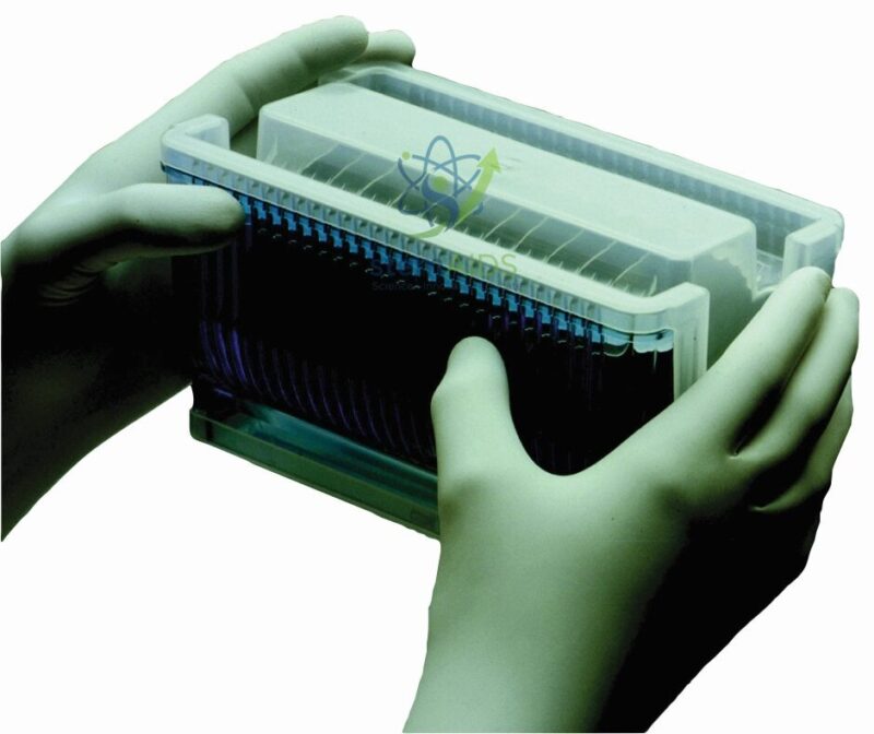 Gloves Nitrile 1 Gloves Nitrile - General Lab Products | STEMAids
