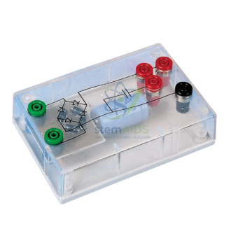 Diode Bridge Module and Capacitor - Physics Equipments | STEMAids