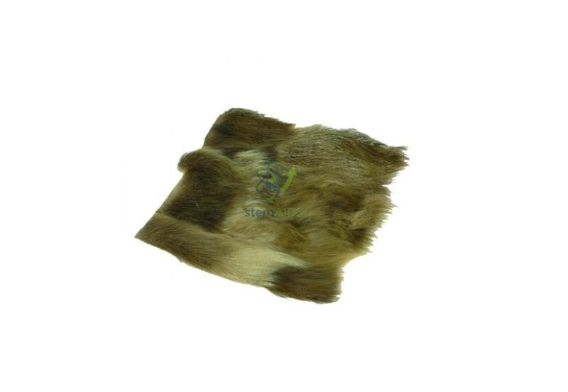 Kid Leather 1 Kid Leather - Physics Equipments | STEMAids