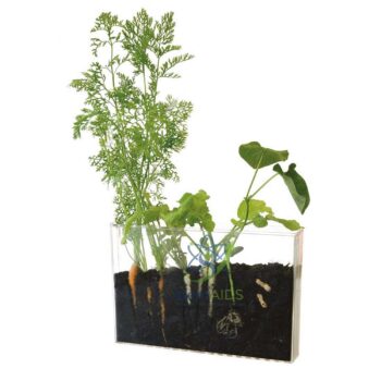 Kit 2 Rhizotrons - General Lab Products | STEMAids