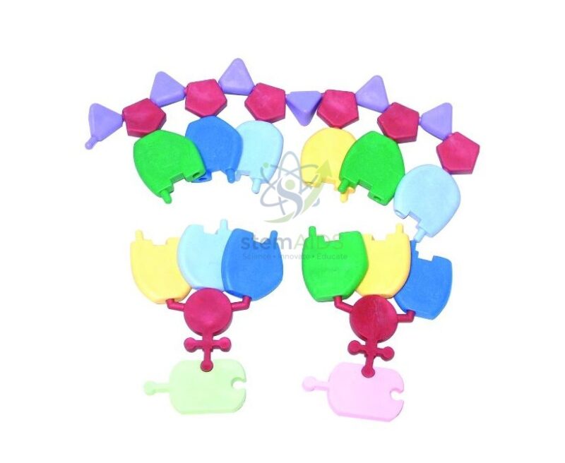 RNA Molecular Model 1 RNA Molecular Model - Biology Lab Products | STEMAids