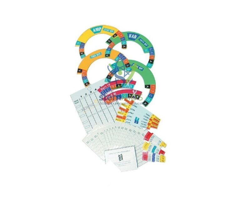 DNA Manipulatives Kit 1 DNA Manipulatives Kit - Biology Lab Products | STEMAids
