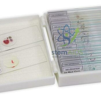 Prepared Slide Set of 25 - Biology Lab Products | STEMAids