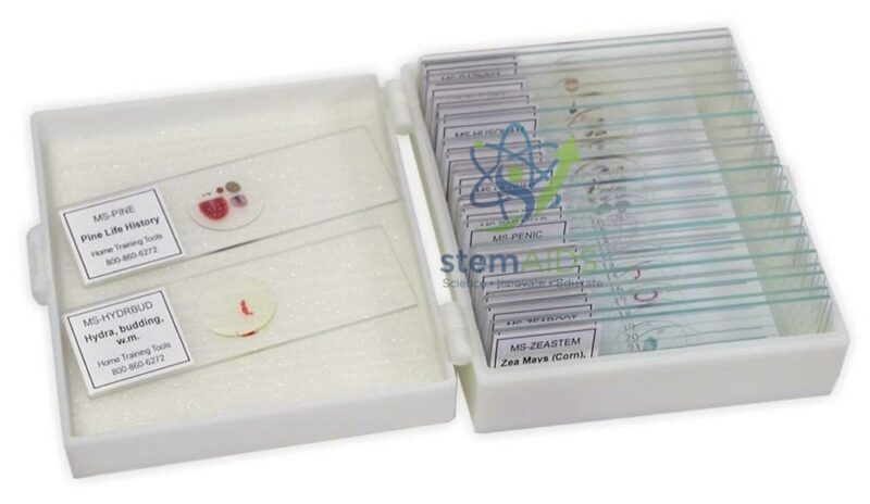 Prepared Slide Set of 25 1 Prepared Slide Set of 25 - Biology Lab Products | STEMAids