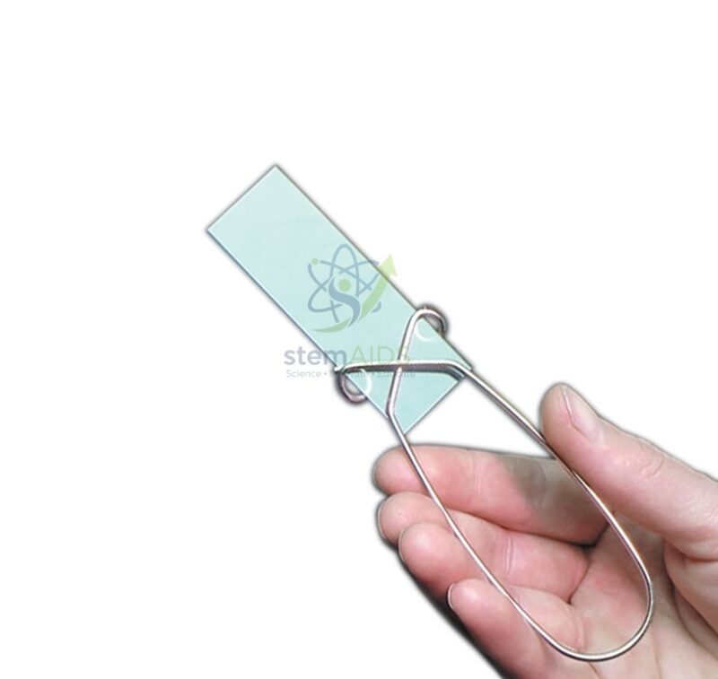 Slide Holding Forceps 1 Slide Holding Forceps - Biology Lab Products | STEMAids