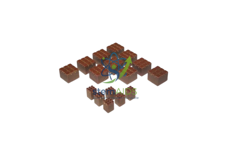 Embedding Blocks 1 Embedding Blocks - Biology Lab Products | STEMAids