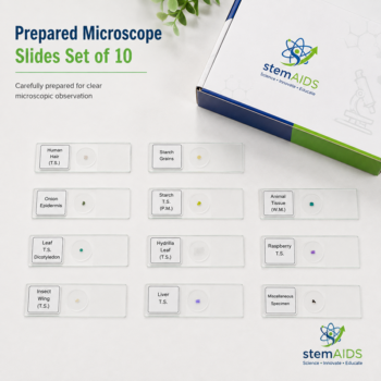 Prepared Microscope Slides Set of 10 - Prepared Slides | STEMAids