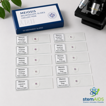 Meiosis Microscope Slides Collection - Prepared Slides | STEMAids