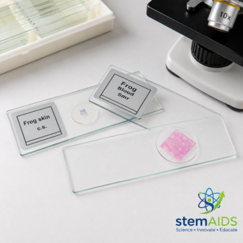 Plant Tissue Specimen Slide - Prepared Slides | STEMAids