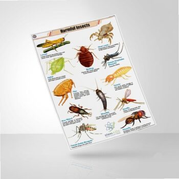 Harmful Insects Learning Chart - Educational Charts | STEMAids