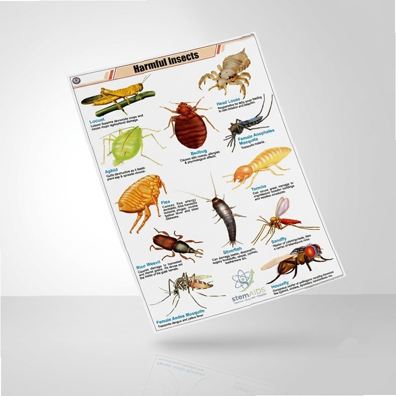 Harmful Insects Learning Chart 1 Harmful Insects Learning Chart - Educational Charts | STEMAids