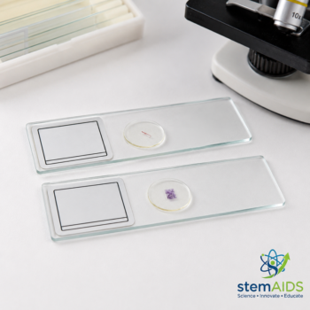 Animal Tissue Teaching Slide - Prepared Slides | STEMAids